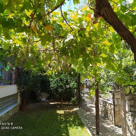 Morfili Villa 利迈纳里亚 外观 照片