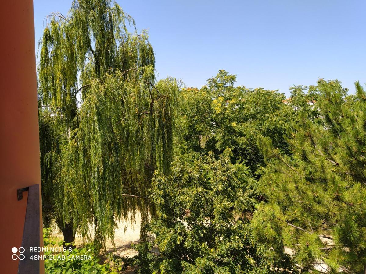 Morfili Villa 利迈纳里亚 外观 照片