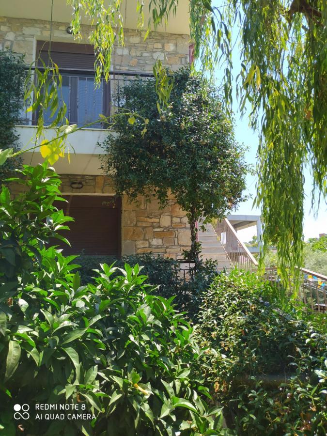 Morfili Villa 利迈纳里亚 外观 照片